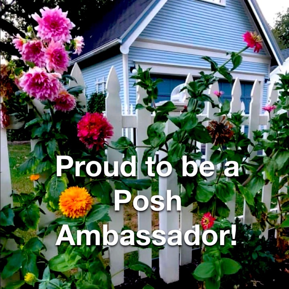 Posh Ambassador & Proud!